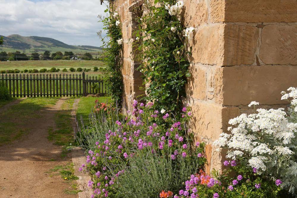 Daisy Bank Cottages Richmond Exterior foto